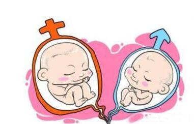 体外受精 IVF-ET